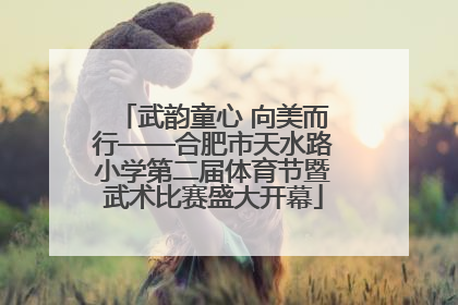 武韵童心 向美而行——合肥市天水路小学第二届体育节暨武术比赛盛大开幕