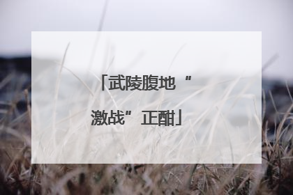 武陵腹地“激战”正酣