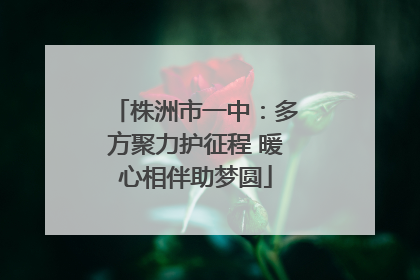 株洲市一中：多方聚力护征程 暖心相伴助梦圆