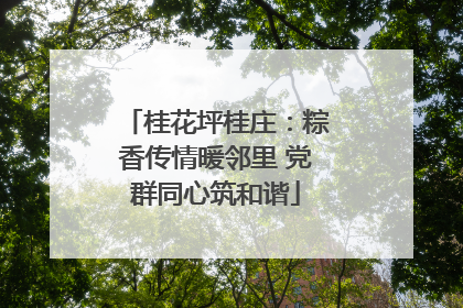 桂花坪桂庄：粽香传情暖邻里 党群同心筑和谐