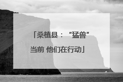 桑植县：“猛兽”当前 他们在行动