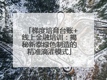 梯度培育台账+线上金融培训：揭秘新泰绿色制造的精准滴灌模式