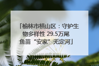 榆林市横山区：守护生物多样性 29.5万尾鱼苗“安家”无定河