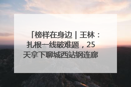 榜样在身边｜王林：扎根一线破难题，25天拿下聊城西站钢连廊“硬核”工程