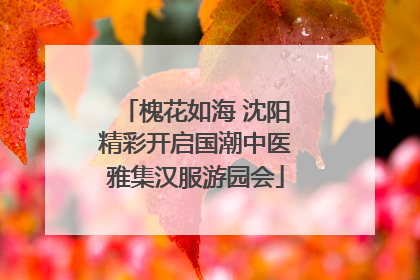 槐花如海 沈阳精彩开启国潮中医雅集汉服游园会