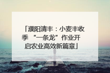 濮阳清丰：小麦丰收季 “一条龙”作业开启农业高效新篇章