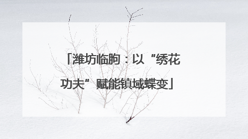 潍坊临朐：以“绣花功夫”赋能镇域蝶变