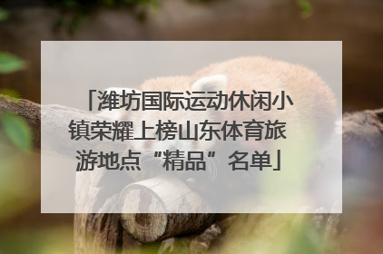 潍坊国际运动休闲小镇荣耀上榜山东体育旅游地点“精品”名单