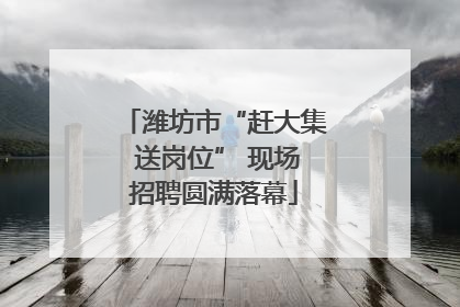 潍坊市“赶大集 送岗位” 现场招聘圆满落幕