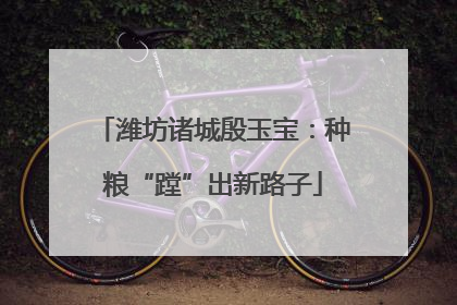 潍坊诸城殷玉宝：种粮“蹚”出新路子