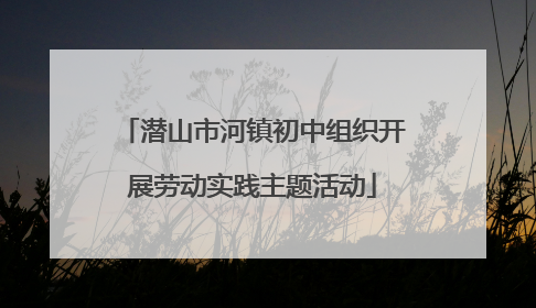 潜山市河镇初中组织开展劳动实践主题活动