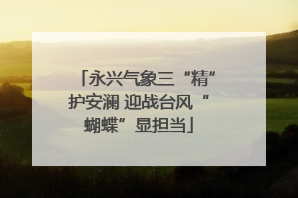 永兴气象三“精”护安澜 迎战台风“蝴蝶”显担当