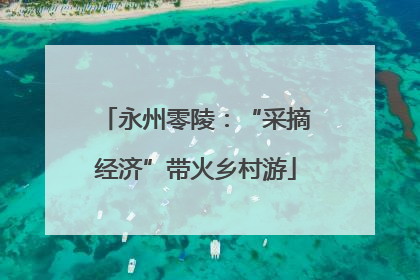 永州零陵：“采摘经济”带火乡村游