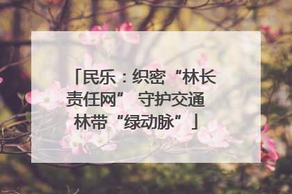 民乐：织密“林长责任网” 守护交通林带“绿动脉”