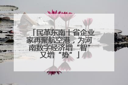 民革东南十省企业家再聚航空港，为河南数字经济增“智”又增“势”