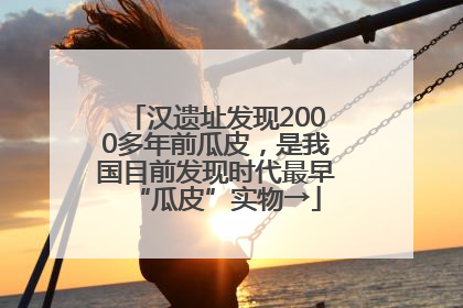 汉遗址发现2000多年前瓜皮，是我国目前发现时代最早“瓜皮”实物→