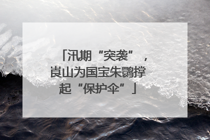 汛期“突袭”，崀山为国宝朱鹮撑起“保护伞”