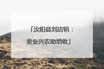 汝阳县刘店镇：薯业兴农助增收