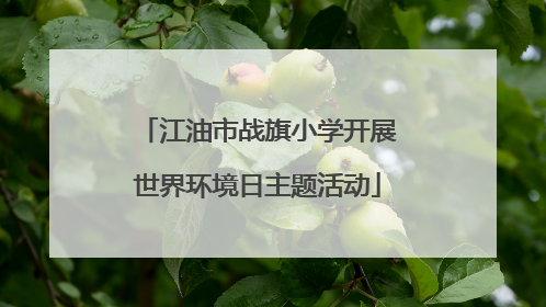 江油市战旗小学开展世界环境日主题活动