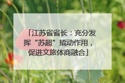 江苏省省长：充分发挥“苏超”撬动作用，促进文旅体商融合