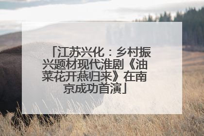 江苏兴化：乡村振兴题材现代淮剧《油菜花开燕归来》在南京成功首演