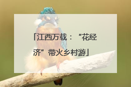 江西万载：“花经济”带火乡村游