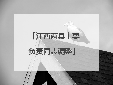江西两县主要负责同志调整