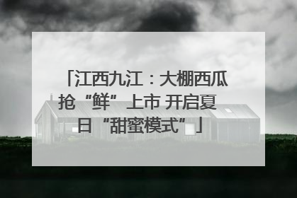 江西九江：大棚西瓜抢“鲜”上市 开启夏日“甜蜜模式”