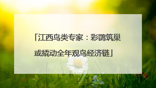 江西鸟类专家：彩鹮筑巢或撬动全年观鸟经济链