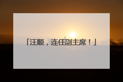 汪顺，连任副主席！