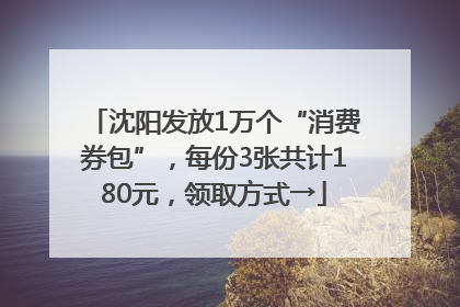 沈阳发放1万个“消费券包”，每份3张共计180元，领取方式→