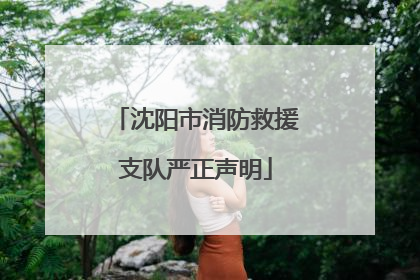 沈阳市消防救援支队严正声明