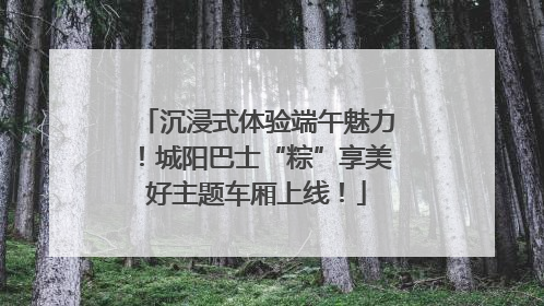 沉浸式体验端午魅力！城阳巴士“粽”享美好主题车厢上线！