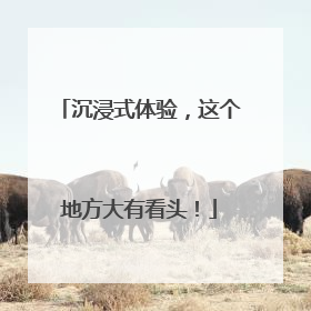 沉浸式体验，这个地方大有看头！