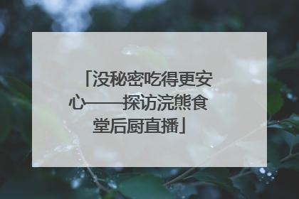 没秘密吃得更安心——探访浣熊食堂后厨直播