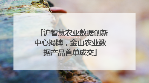 沪智慧农业数据创新中心揭牌，金山农业数据产品首单成交