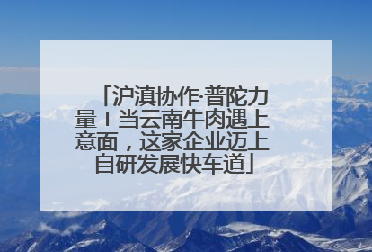 沪滇协作·普陀力量〡当云南牛肉遇上意面，这家企业迈上自研发展快车道