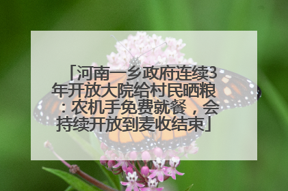 河南一乡政府连续3年开放大院给村民晒粮：农机手免费就餐，会持续开放到麦收结束