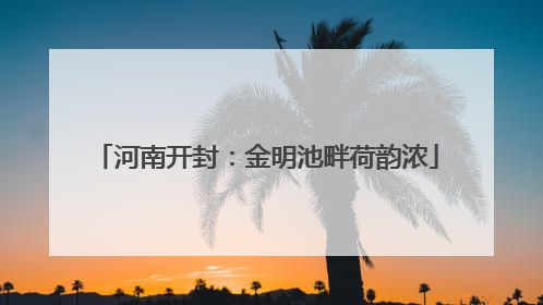 河南开封：金明池畔荷韵浓