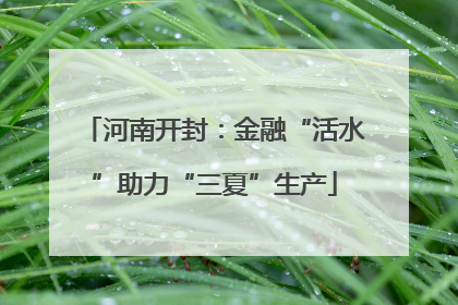 河南开封：金融“活水”助力“三夏”生产