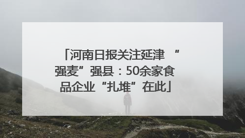 河南日报关注延津 “强麦”强县：50余家食品企业“扎堆”在此