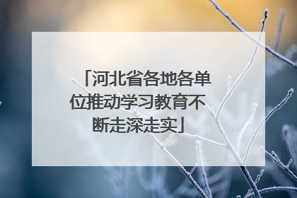 河北省各地各单位推动学习教育不断走深走实