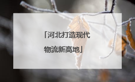 河北打造现代物流新高地