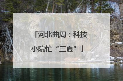 河北曲周：科技小院忙“三夏”