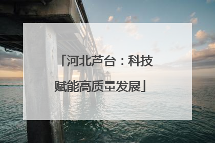 河北芦台：科技赋能高质量发展