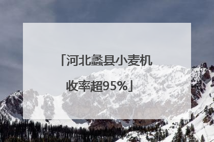 河北蠡县小麦机收率超95%