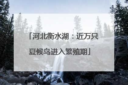 河北衡水湖：近万只夏候鸟进入繁殖期