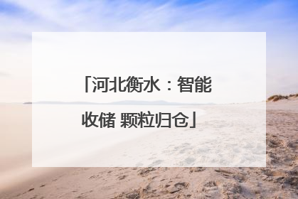 河北衡水：智能收储 颗粒归仓