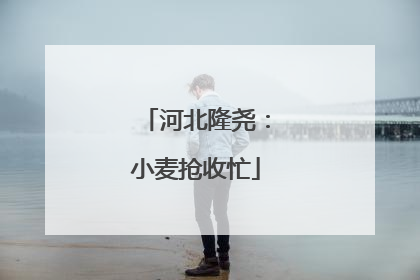 河北隆尧：小麦抢收忙