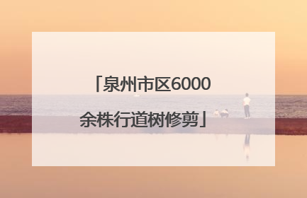 泉州市区6000余株行道树修剪